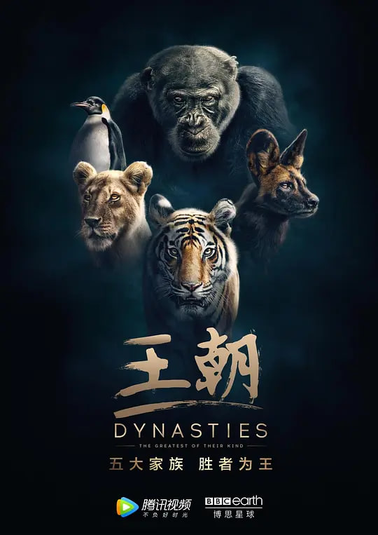 月夜影视在线观看在线观看新人扶持封面